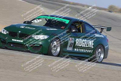 media/Nov-09-2024-GTA Finals Buttonwillow (Sat) [[c24c1461bf]]/Group 3/Session 3 (Outside Grapevine)/